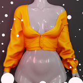 Palette - Arielle Top [Orange]