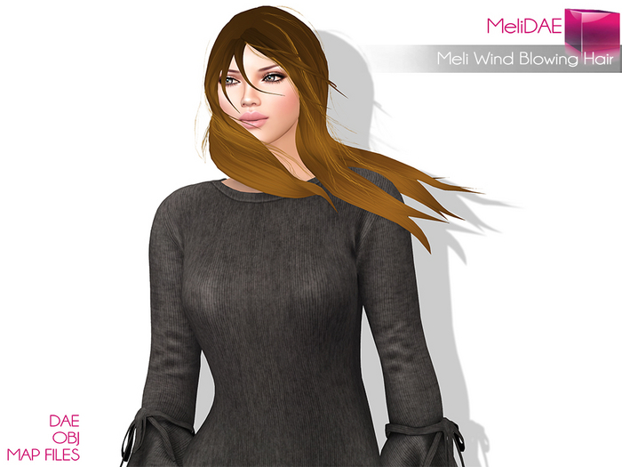 Dae, Obj, FBX, And Texture Files Rigged Wind Blowing Hair