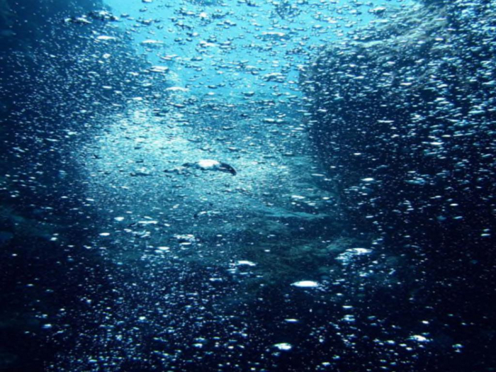 Ocean Bubbles Texture