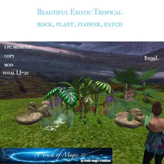 beautiful exotic tropical patch-Box-LI=21