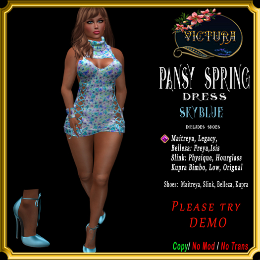 Skyblue Pansy Spring