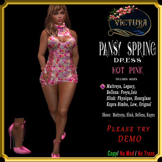Hot Pink Pansy Spring 