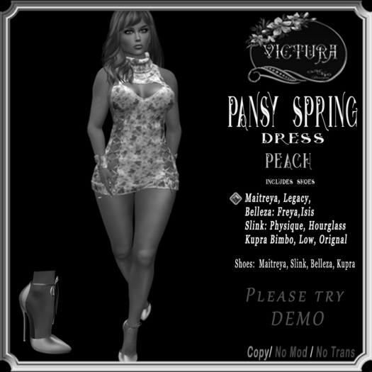 -DEMO-Peach Pansy Spring