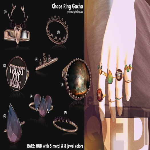 ieQED chaos.ring (8)