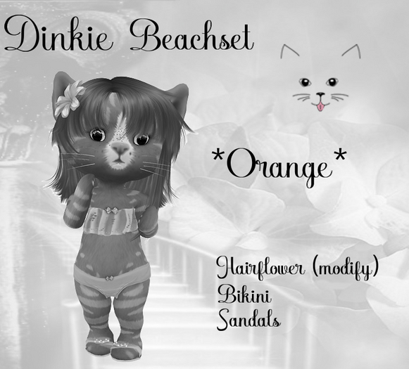 DEMO DINKIE Beach Set *Orange*