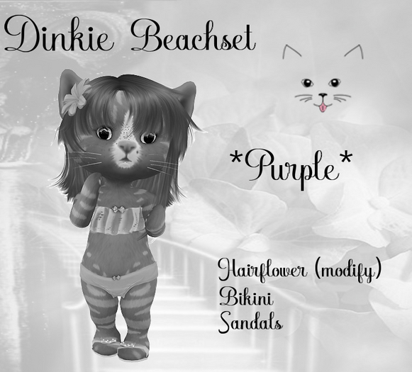DEMO DINKIE Beach Set *Purple*