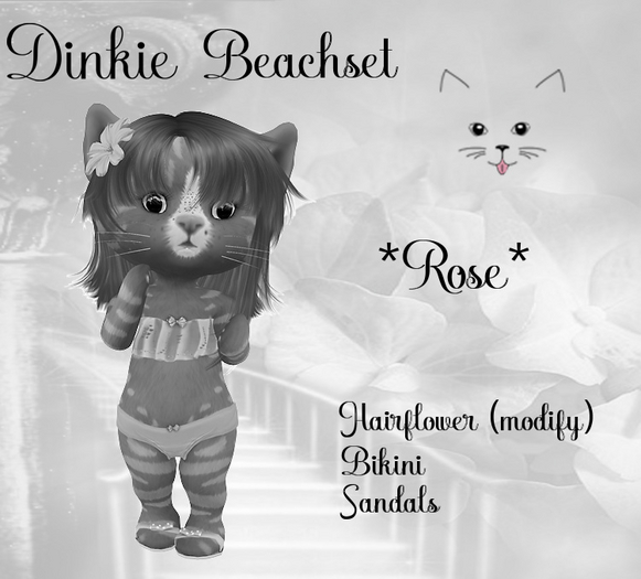 DEMO DINKIE Beach Set *Rose*