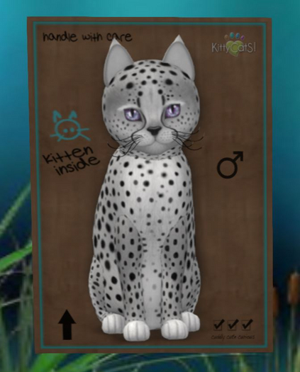 Cheetah! - Silver - RockAmethyst
