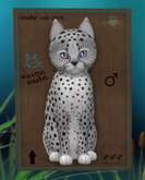 Cheetah! - Silver - RockAmethyst
