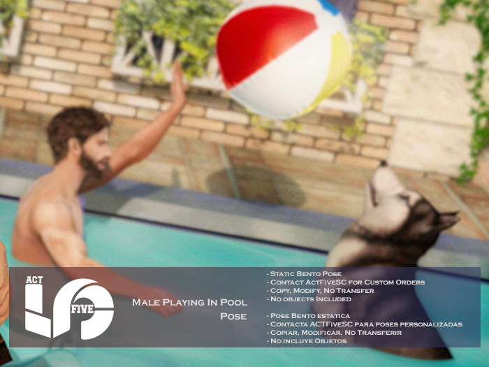 ACT5-879-Male Playing In Pool Pose BOXED 