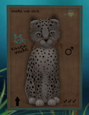 Cheetah! - Washed Blue Mink - Twinkle Bouquet