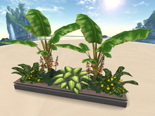 RW - Tropical Planter *Nurul* c/m