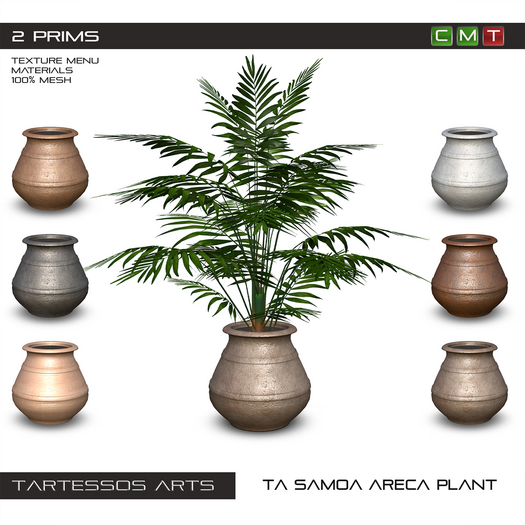 ::TA Samoa Areca Plant