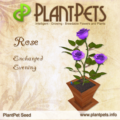 PlantPet Seed [Rose *Enchanted Evening*]