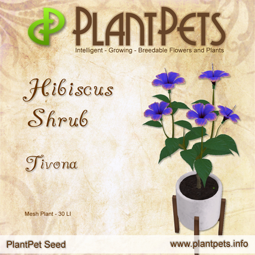 PlantPet Seed [Hibiscus Shrub *Tivona*]