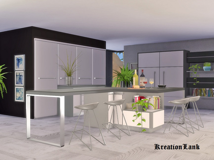 Black White Kitchen - Counter Island FULL PERM