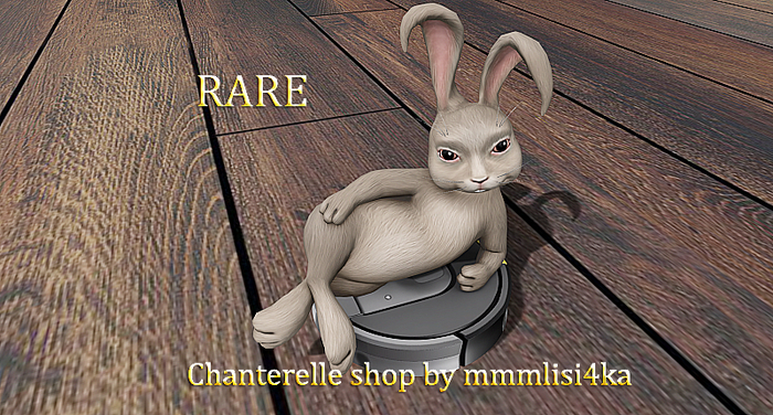 16-Mutresse-Draw me!-Helpful Bunny RARE