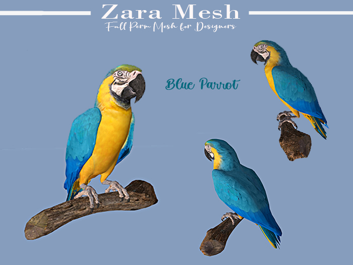 ZM - Animals - Blue Parrot - FULL PERM MESH