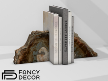 Fancy Decor: Jakob Petrified Wood Bookends