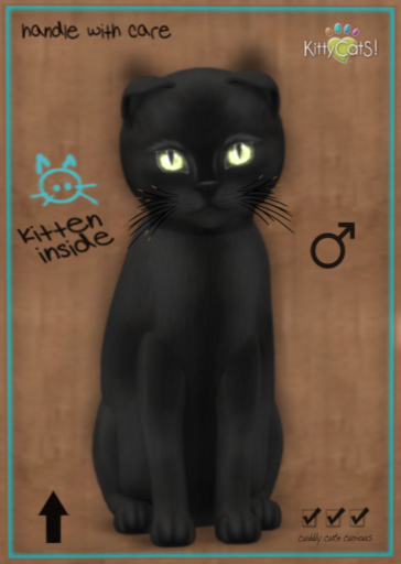 9T Russian Black - Morning Dew