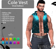Ignition Cole Vest Vivid