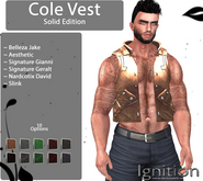 Ignition Cole Vest Solid