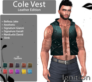 Ignition Cole Vest Leather