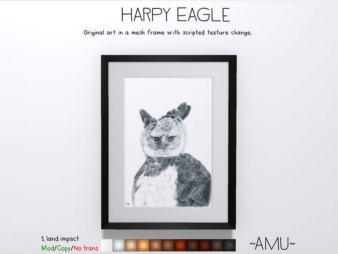 ~AMU~ Harpy Eagle