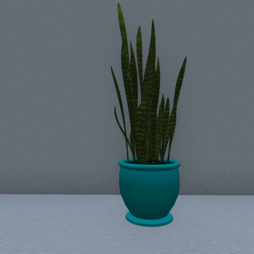 Potted Sansevieria 