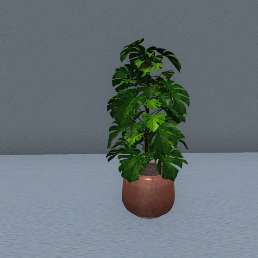 Potted Houseplant 