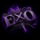 +EXO+ STORE