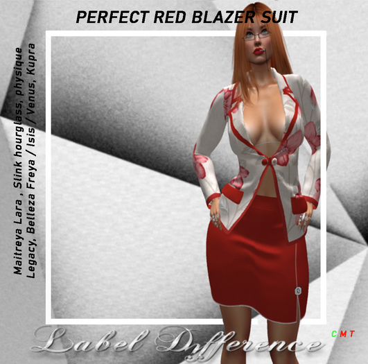 Label Difference - Perfect red skirt suit BAG