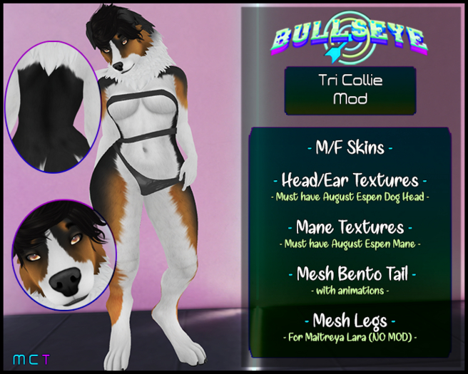 (B) Tri Collie for Espen Dog Head