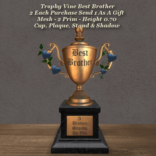 Trophy Vine Best Brother