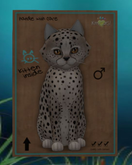 Cheetah! - Washed Blue Mink
