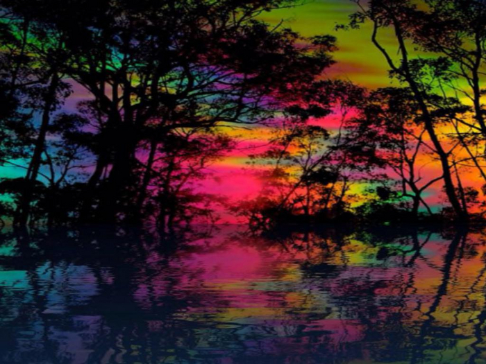 Rainbow Trees Texture