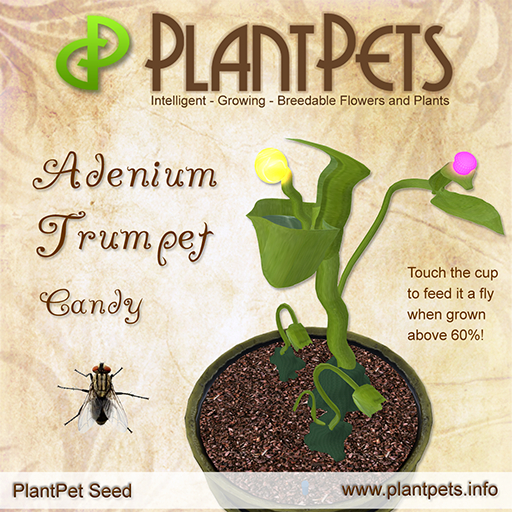 PlantPet Seed [Adenium Trumpet *Candy*]