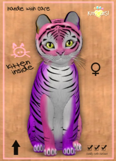 KittyCatS Box - Year Of The Tiger - Sunshine - nO. 413335213