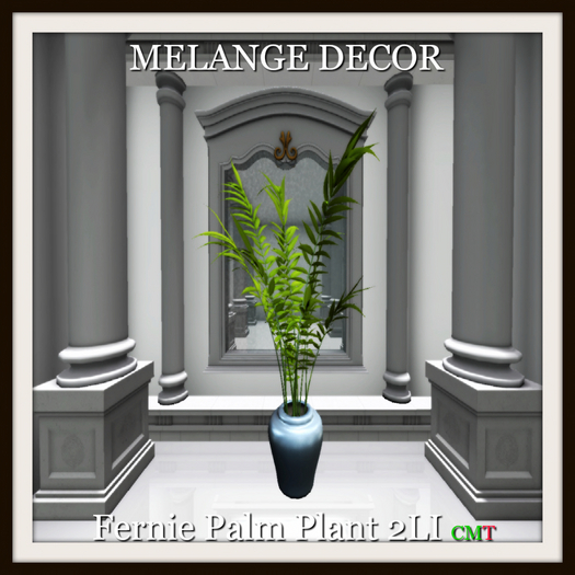 Fernie Palm Plant