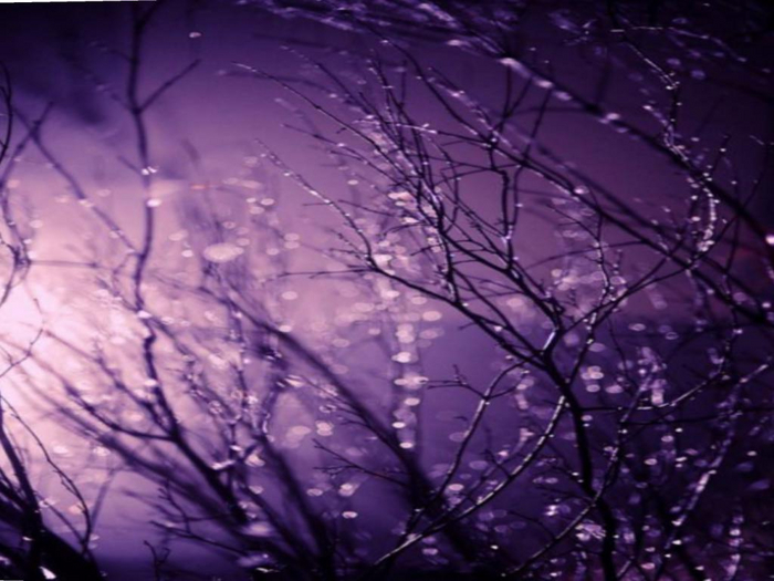 Purple Branches Texture
