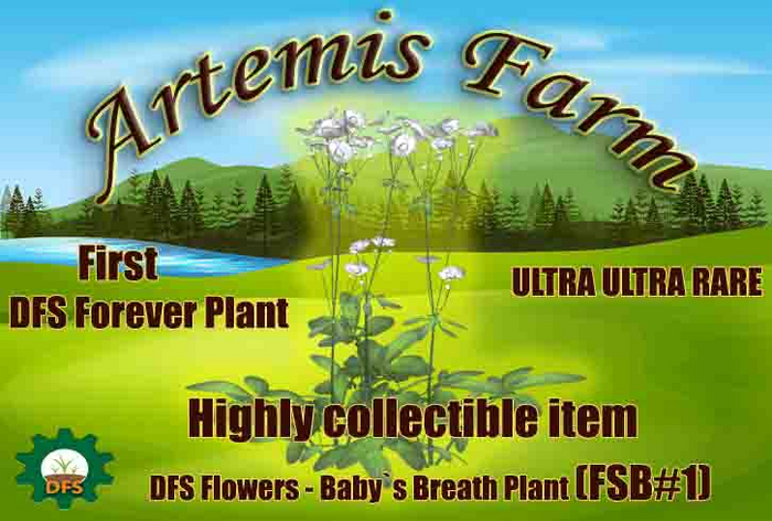 DFS Flowers - Baby`s Breath Plant (FSB#1) - ULTRA RARE - LIMITED 