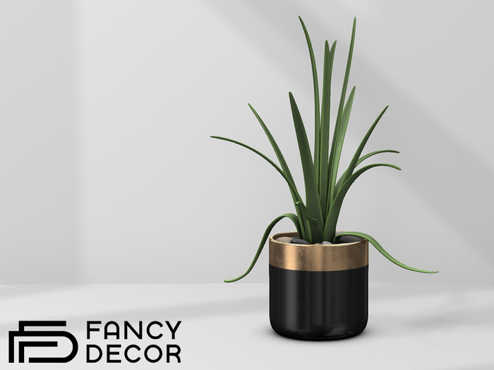 Fancy Decor: Jones Aloe Plant