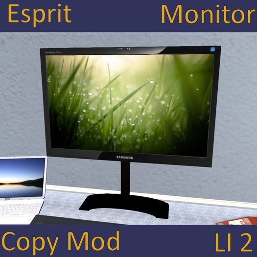 Esprit IT2A PC Flat Screen Monitor