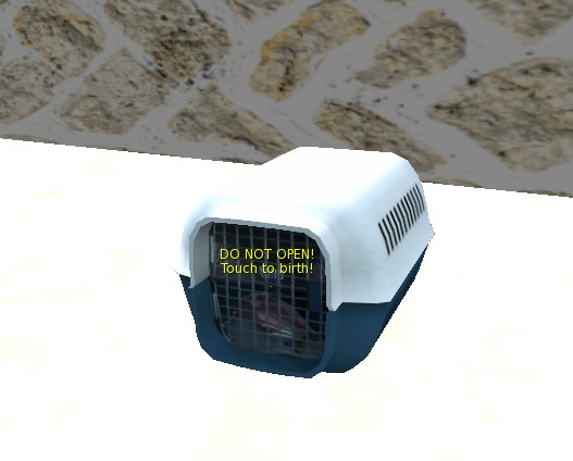 BB Dalmatian Box FEMALE