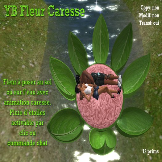 YB fleur caresse 2 BOX