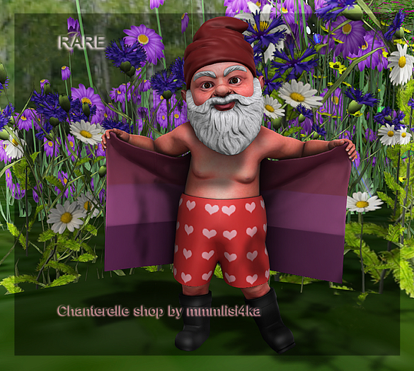 10 Mutresse - On vacation Gnome - RARE