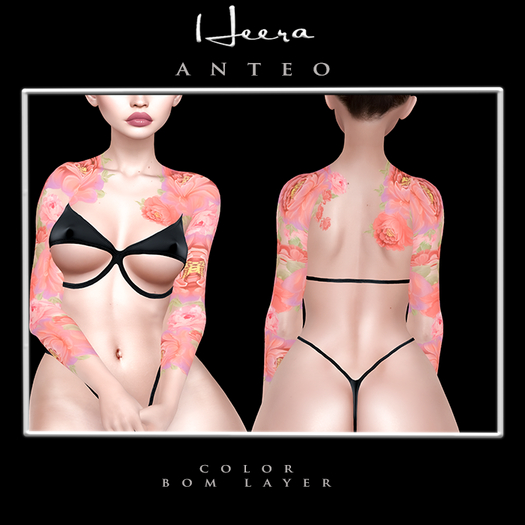 Heera - Anteo