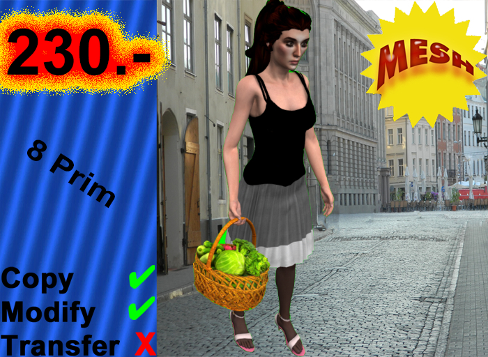 004237 copy,modify
