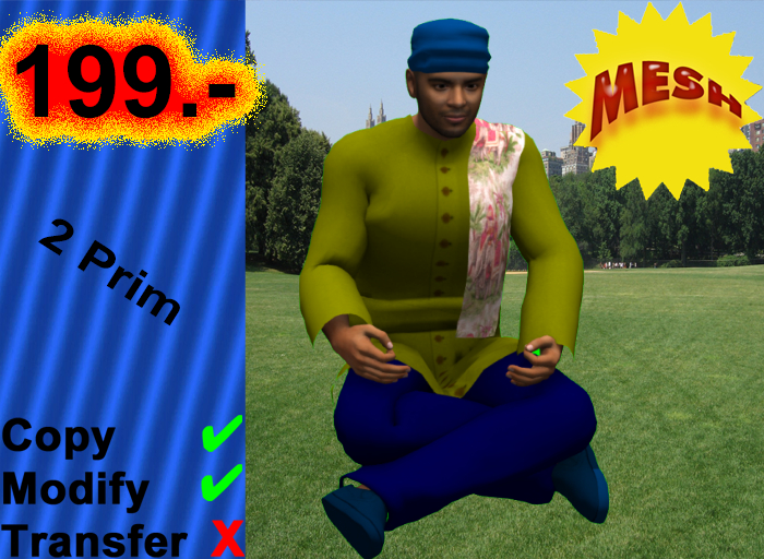 004250 copy,modify
