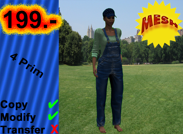 004253 copy,modify